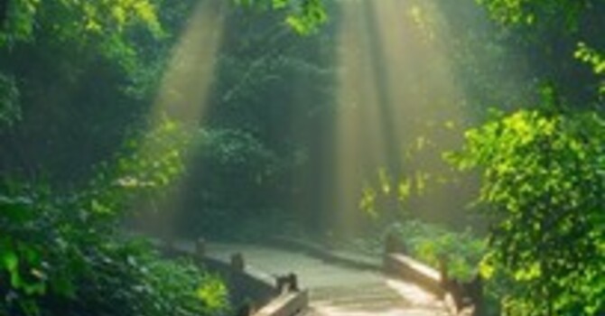 Finding Balance Through Anxiety Counselling: How Support Helps You Reclaim Calm